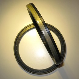 МАНЖЕТА RWDR KASSETTE 110*140*14.5/16 (КАССЕТНОЕ УПЛОТНЕНИЕ)