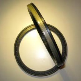 МАНЖЕТА 42*62*21,5 (КАССЕТНОЕ УПЛОТНЕНИЕ)(COMBI SF6)